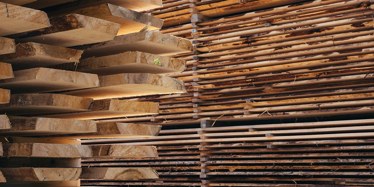 Stacks of oak slabs drying ready for machining.
