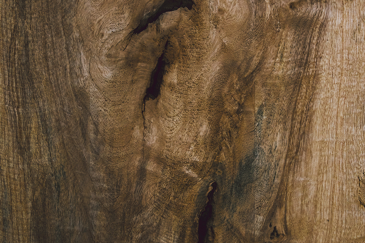 Wonderful figured walnut knot.